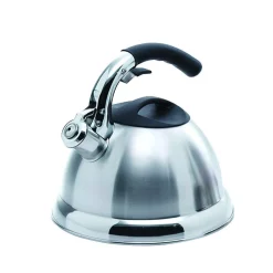 Flash Sale 🔥 Creative Home Avalon 12-Cup Stovetop Tea Kettle In Silver 🎉
