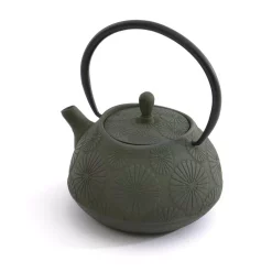 Promo ๐ BergHOFF Cast Iron 1.2 Qt. Dark Green Teapot ๐ฅ