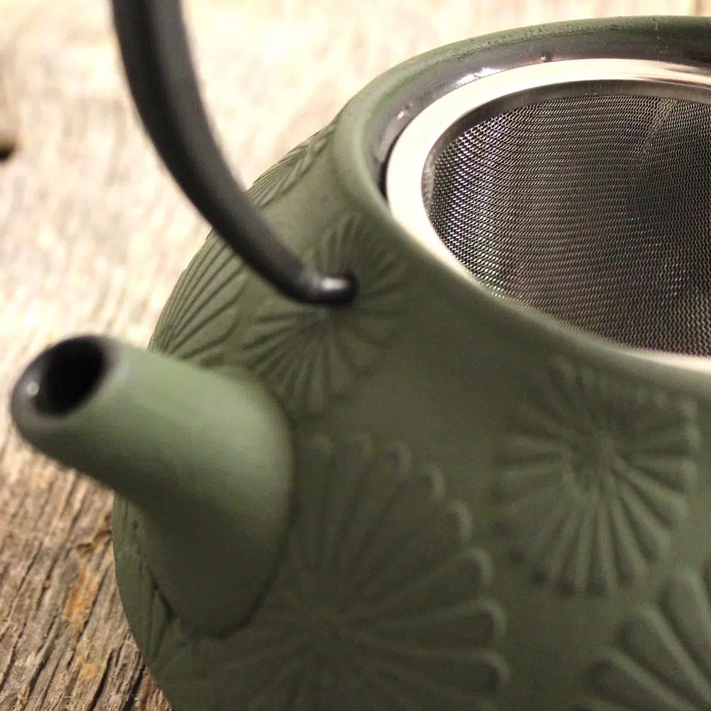 Promo π BergHOFF Cast Iron 1.2 Qt. Dark Green Teapot π₯ 3 Promo π BergHOFF Cast Iron 1.2 Qt. Dark Green Teapot π₯ - Image 3