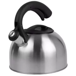 Flash Sale ⭐ Home Basics 10.5-Cup Stainless Steel Tea Kettle 🎁