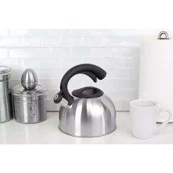 Flash Sale β Home Basics 10.5-Cup Stainless Steel Tea Kettle π 8 Flash Sale β Home Basics 10.5-Cup Stainless Steel Tea Kettle π -Cheap Cookware Shop unnamed file 2880