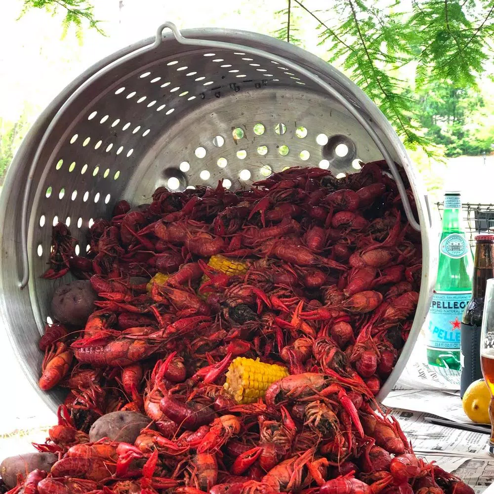 Best reviews of โจ Bayou Classic 24 Qt. Aluminum Stock Pot In Silver With Lid ๐ 2 Best reviews of โจ Bayou Classic 24 Qt. Aluminum Stock Pot In Silver With Lid ๐ - Image 2